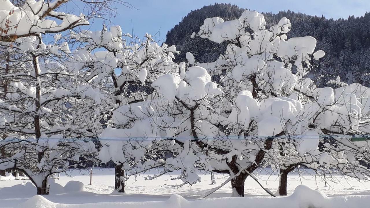 Haus Heiserer Musau Dış mekan fotoğraf